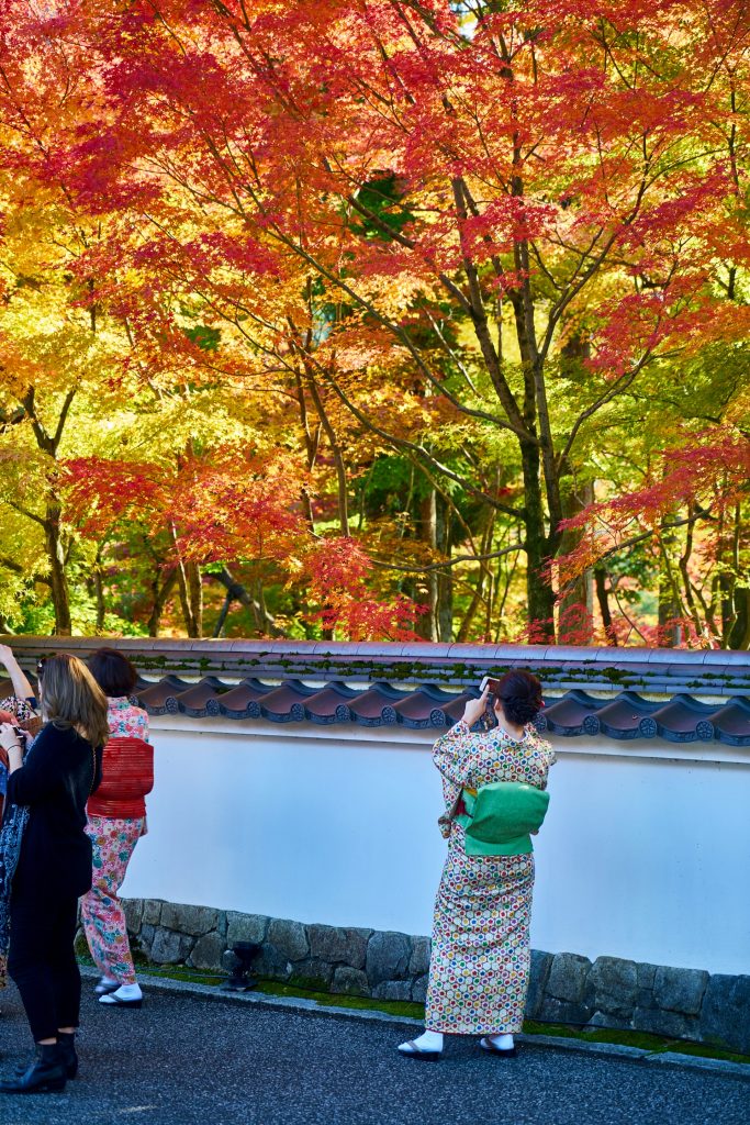 JAPAN-2016-02-070 JAPAN-2016-02-070