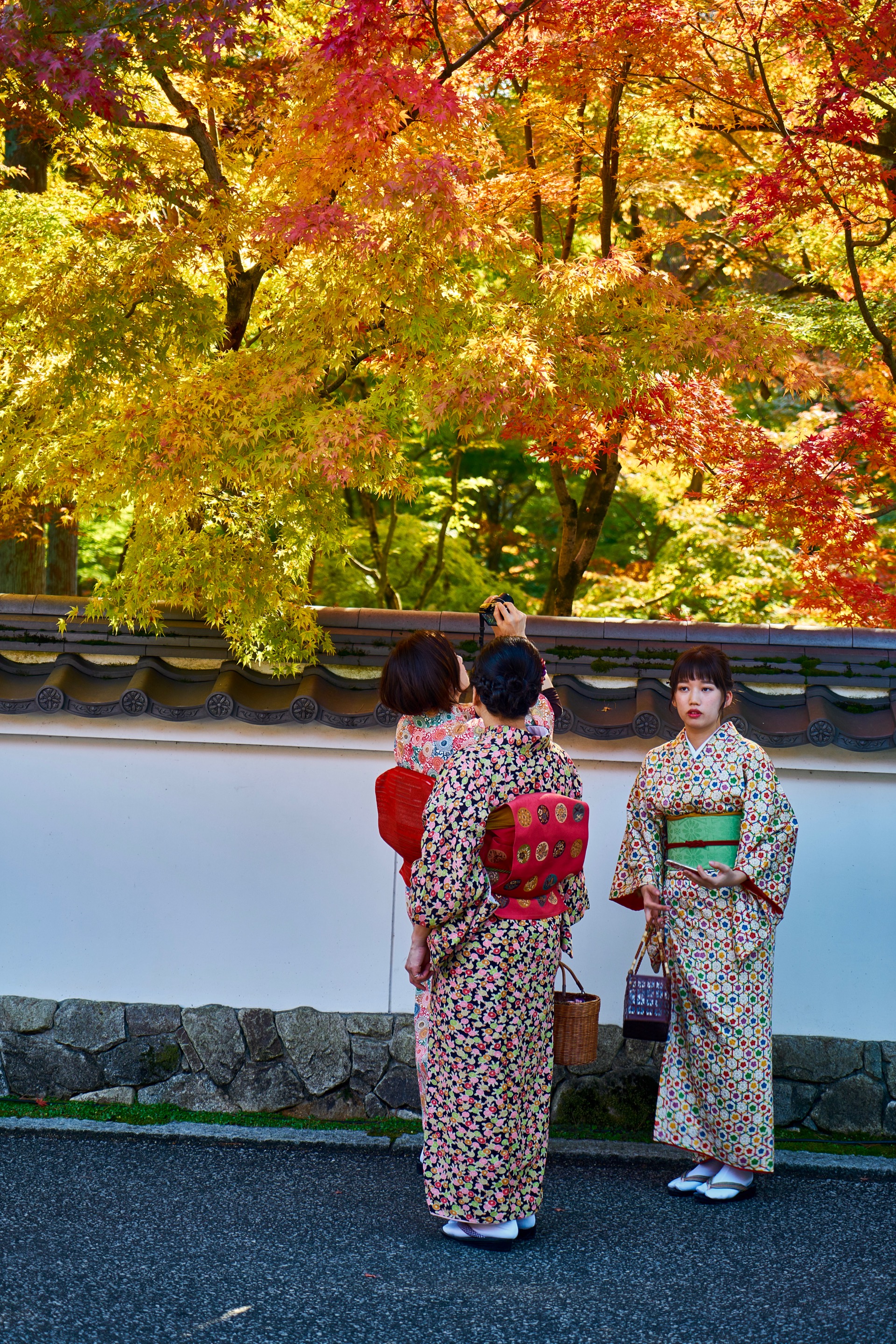 JAPAN-2016-02-072 JAPAN-2016-02-072