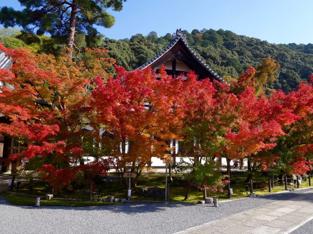 JAPAN-2016-02-077 JAPAN-2016-02-077