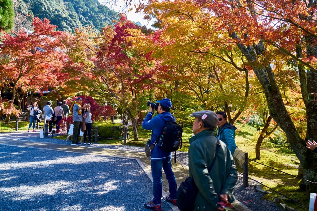 JAPAN-2016-02-078 JAPAN-2016-02-078
