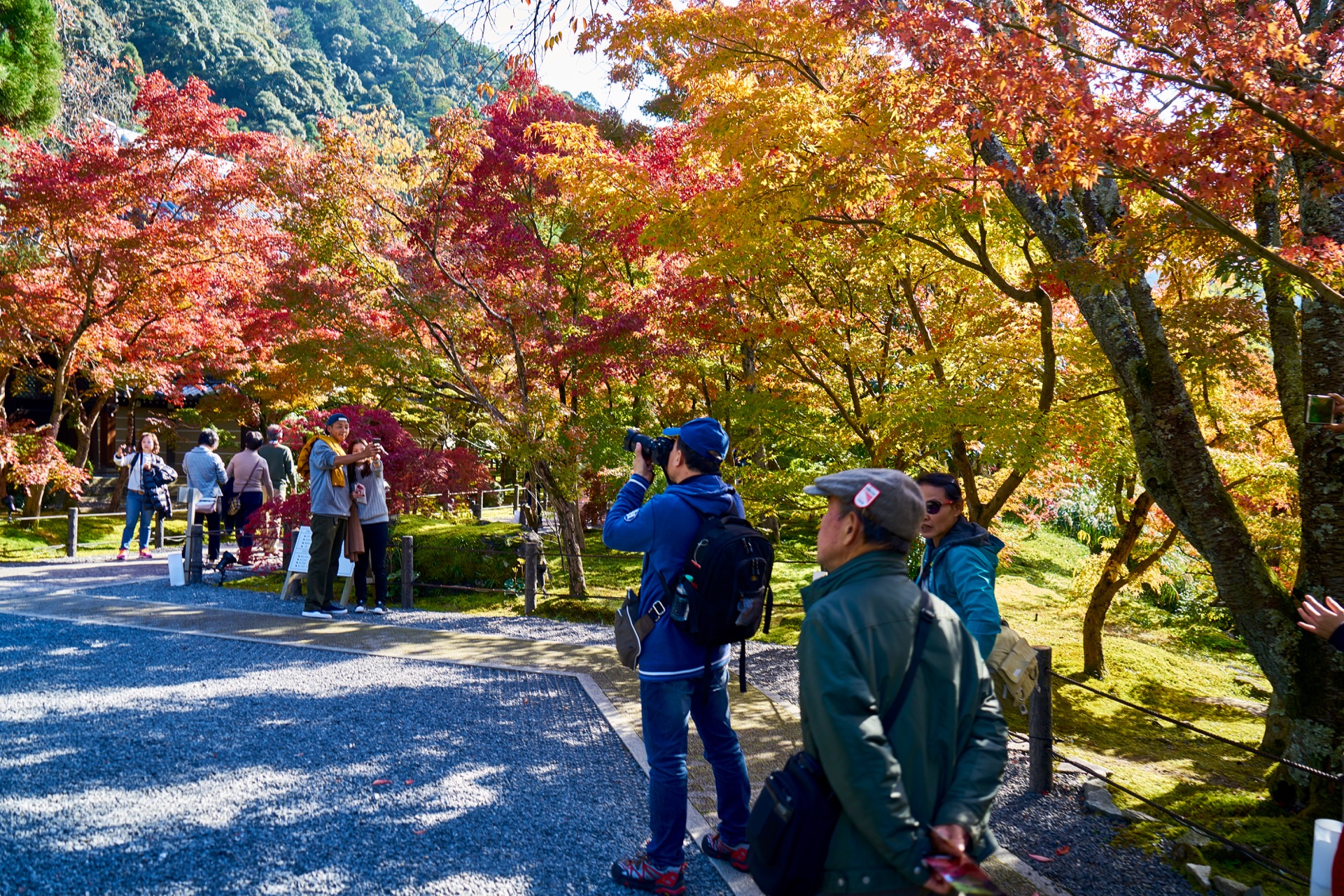 JAPAN-2016-02-078 JAPAN-2016-02-078