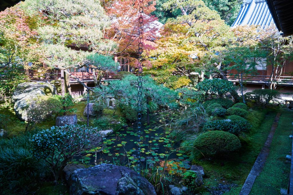 JAPAN-2016-02-080 JAPAN-2016-02-080