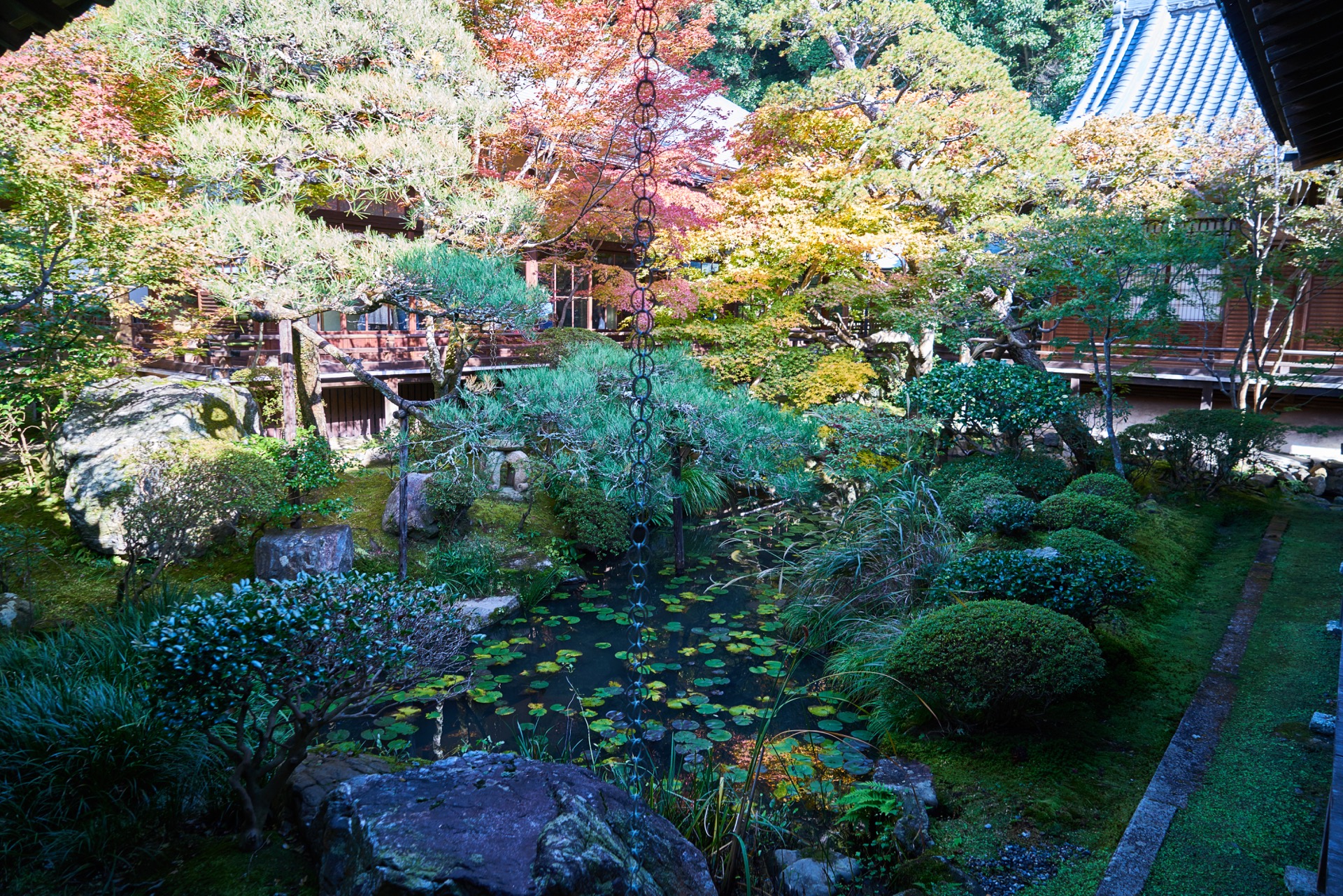 JAPAN-2016-02-080 JAPAN-2016-02-080