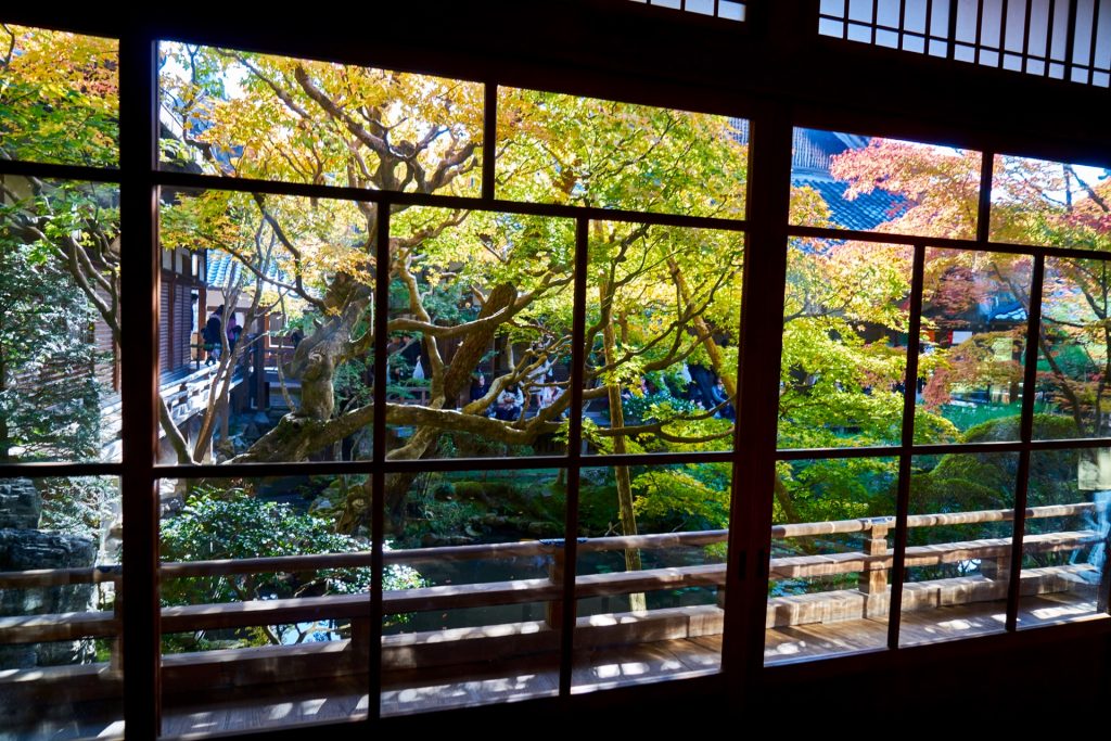 JAPAN-2016-02-081 JAPAN-2016-02-081