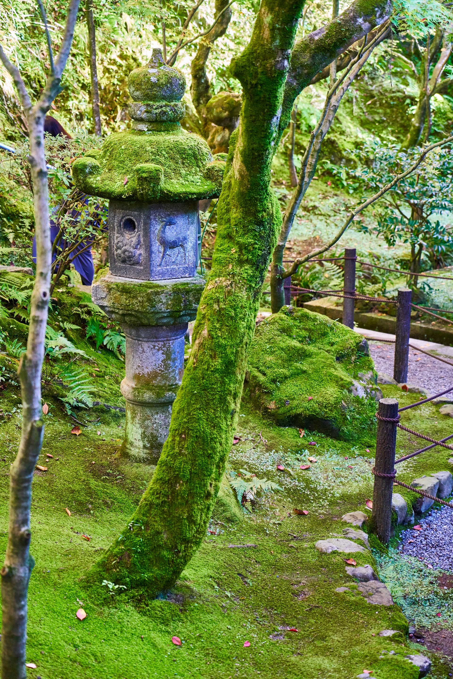 JAPAN-2016-02-082 JAPAN-2016-02-082