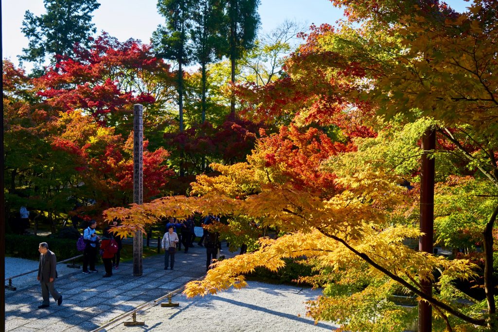 JAPAN-2016-02-083 JAPAN-2016-02-083