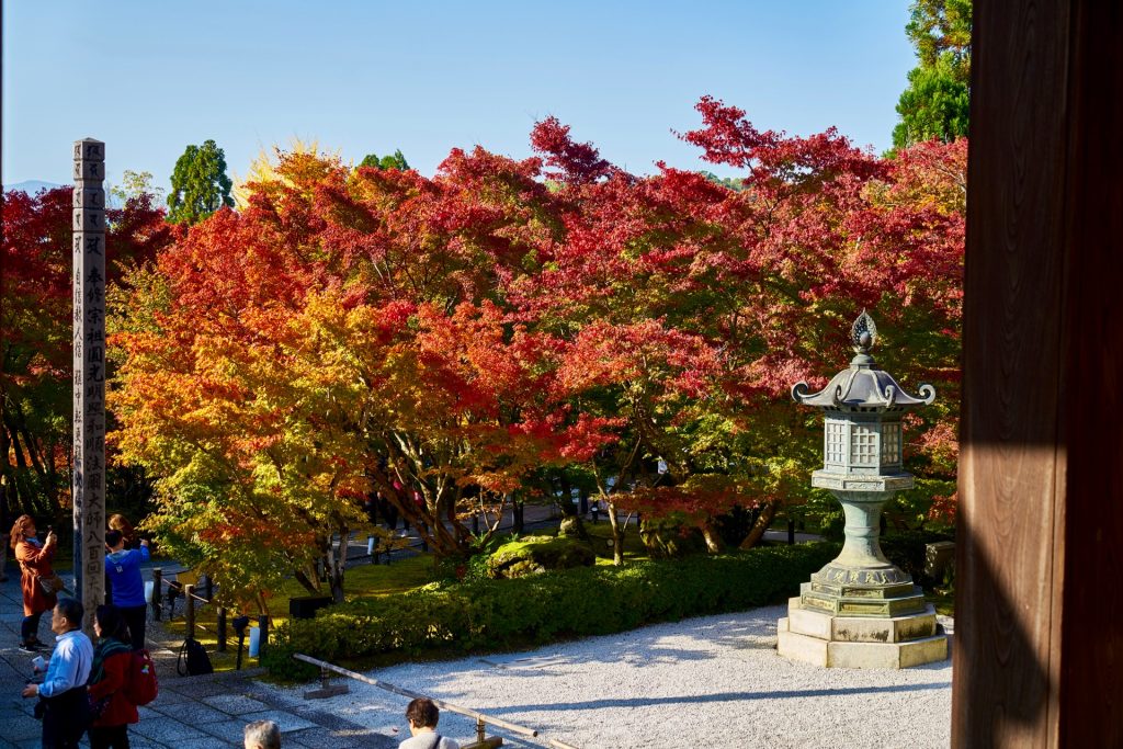 JAPAN-2016-02-084 JAPAN-2016-02-084