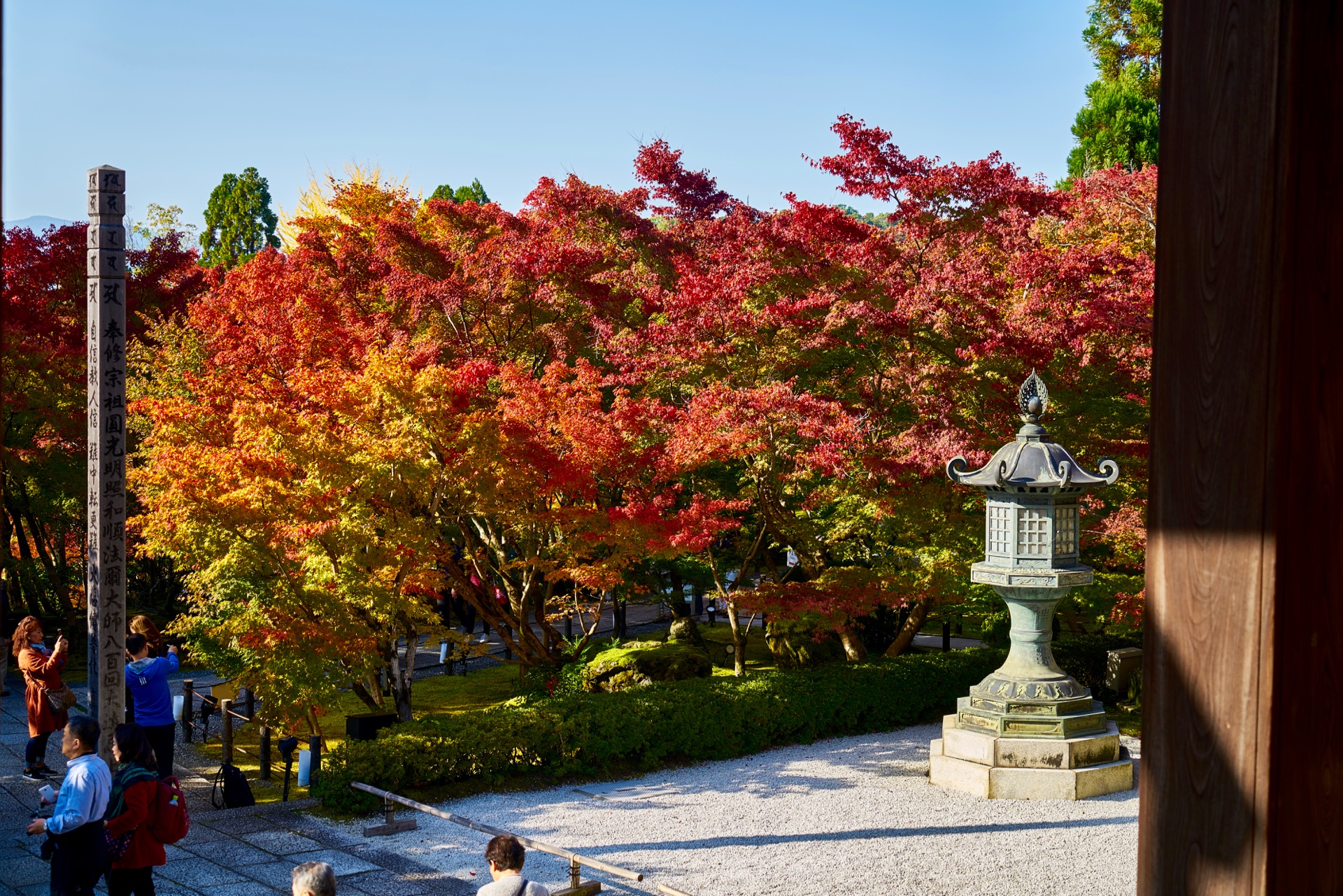 JAPAN-2016-02-084 JAPAN-2016-02-084