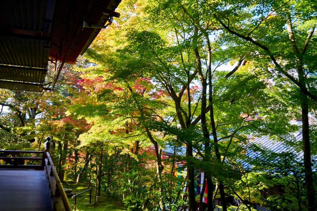 JAPAN-2016-02-086 JAPAN-2016-02-086