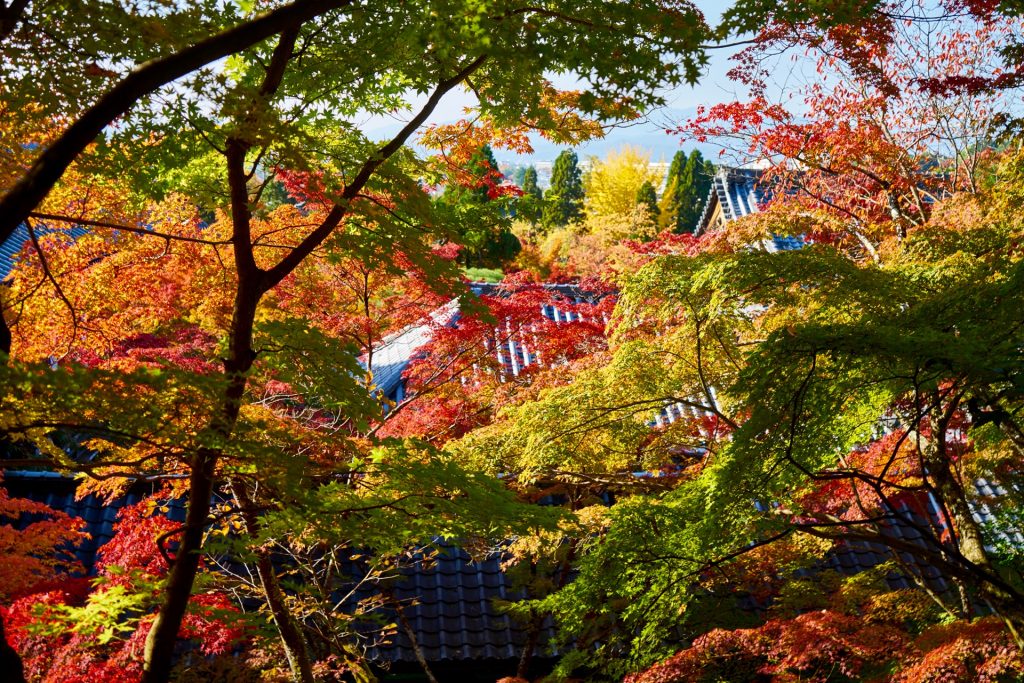 JAPAN-2016-02-087 JAPAN-2016-02-087