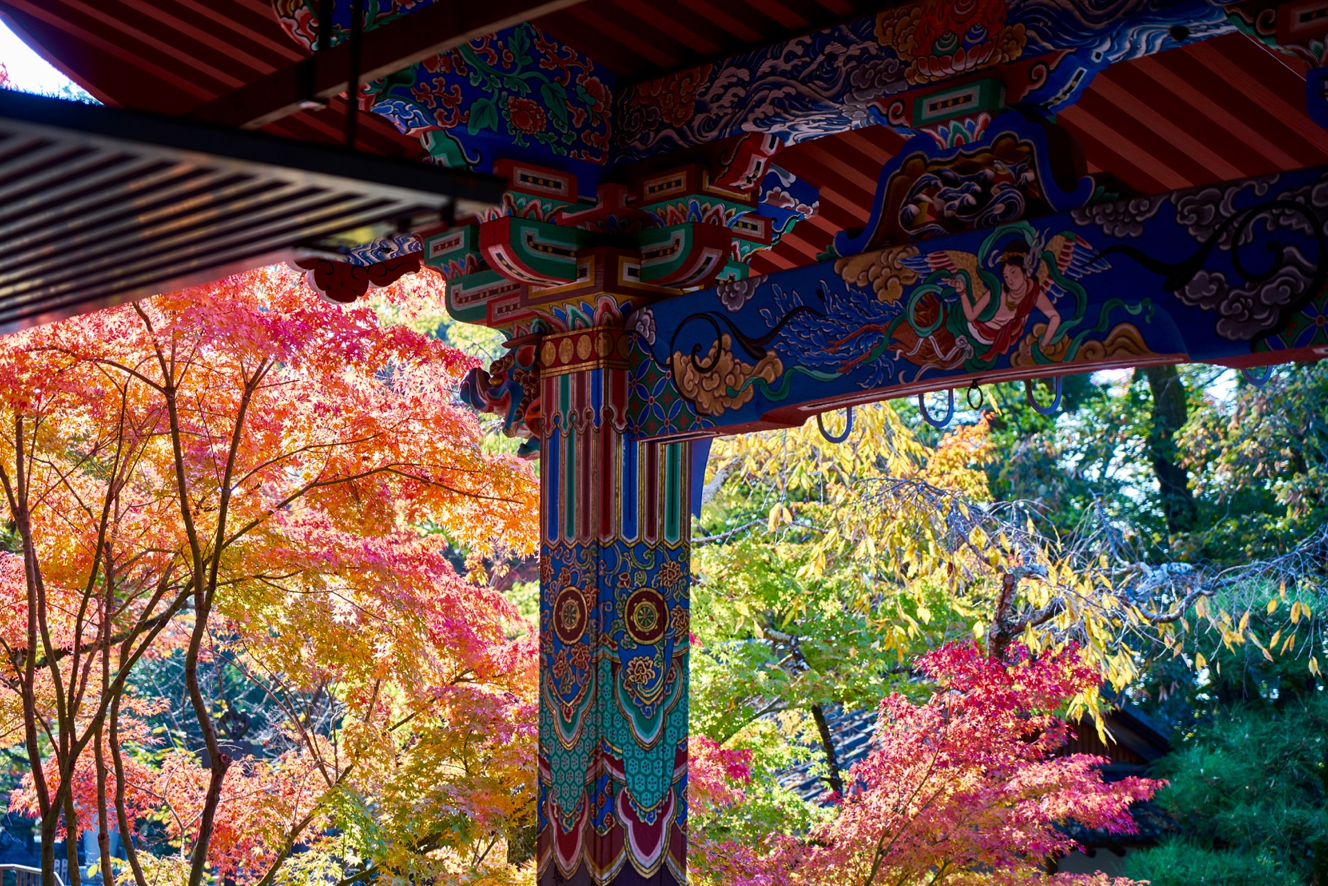 JAPAN-2016-02-089 JAPAN-2016-02-089