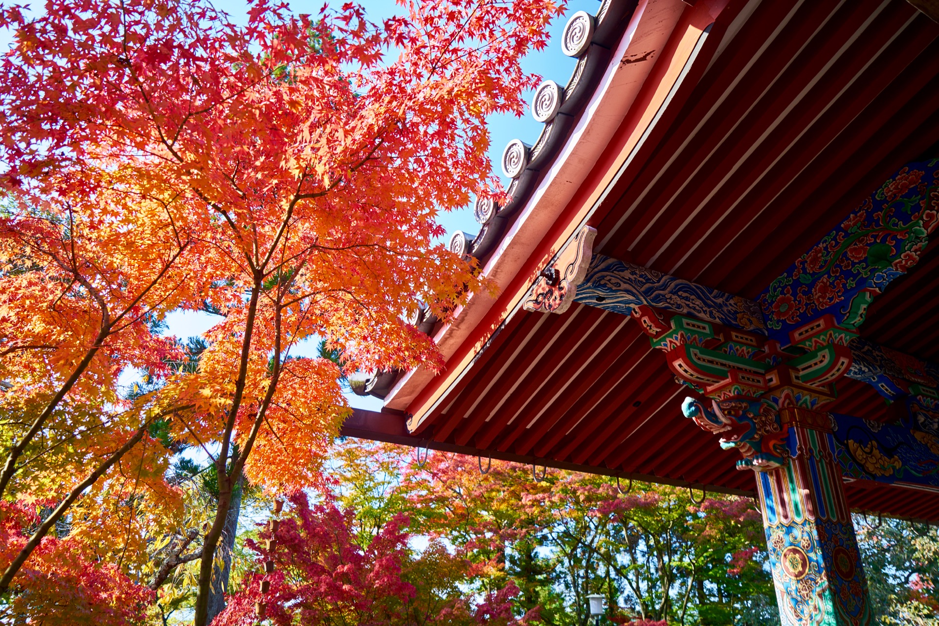 JAPAN-2016-02-090 JAPAN-2016-02-090