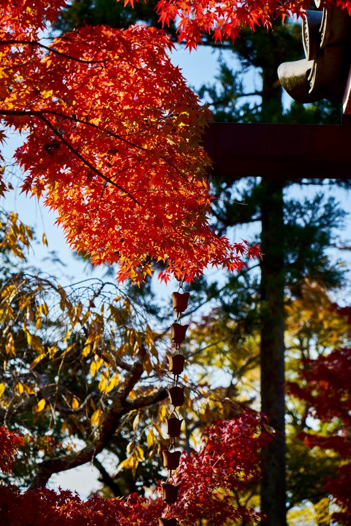 JAPAN-2016-02-091 JAPAN-2016-02-091
