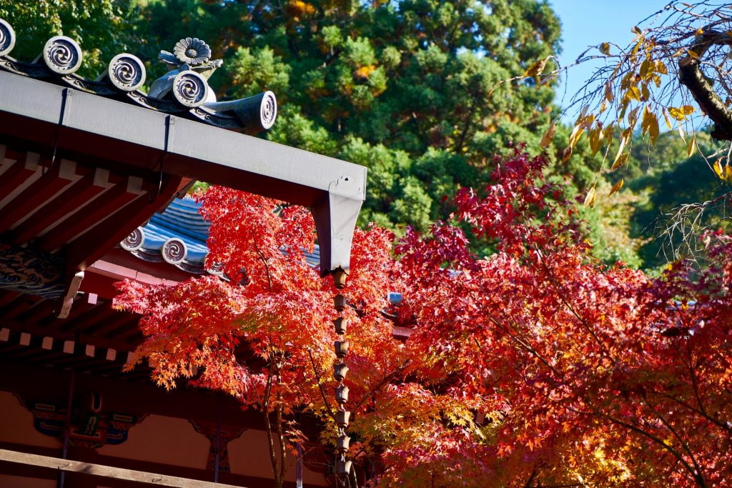 JAPAN-2016-02-092 JAPAN-2016-02-092