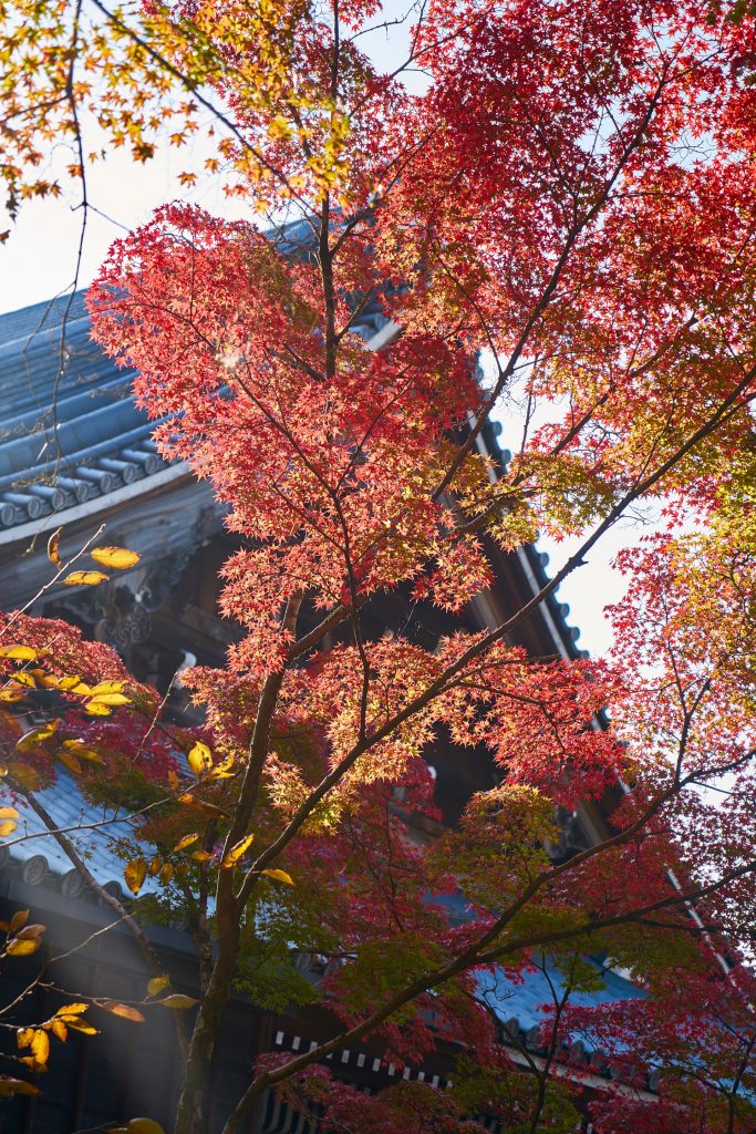 JAPAN-2016-02-097 JAPAN-2016-02-097