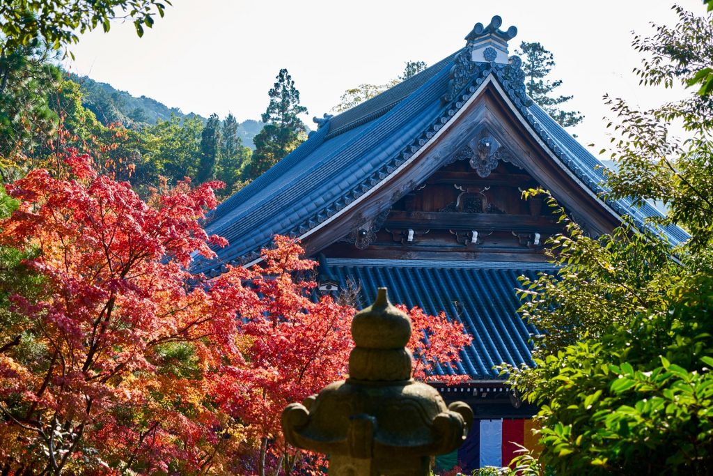 JAPAN-2016-02-098 JAPAN-2016-02-098