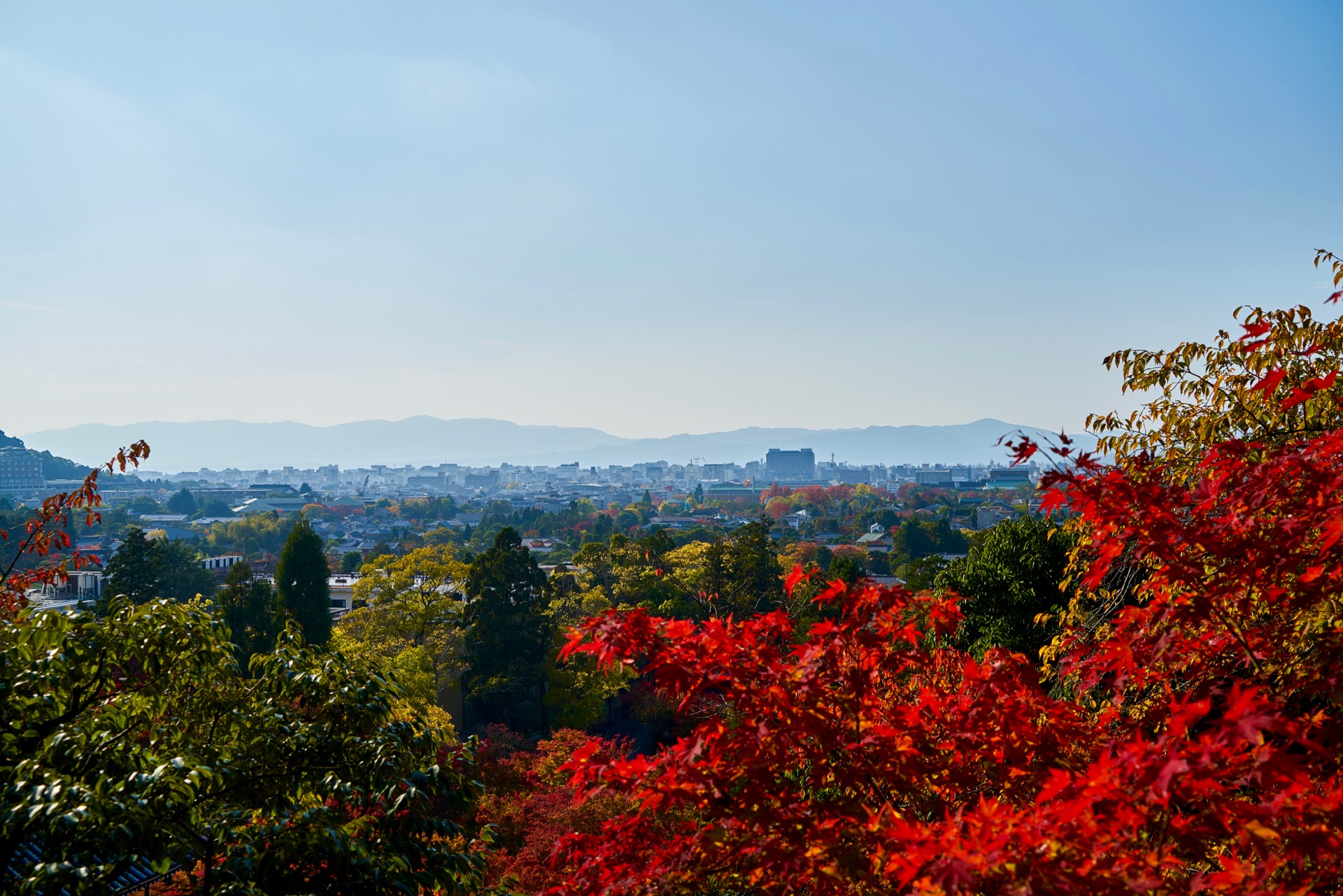 JAPAN-2016-02-099 JAPAN-2016-02-099