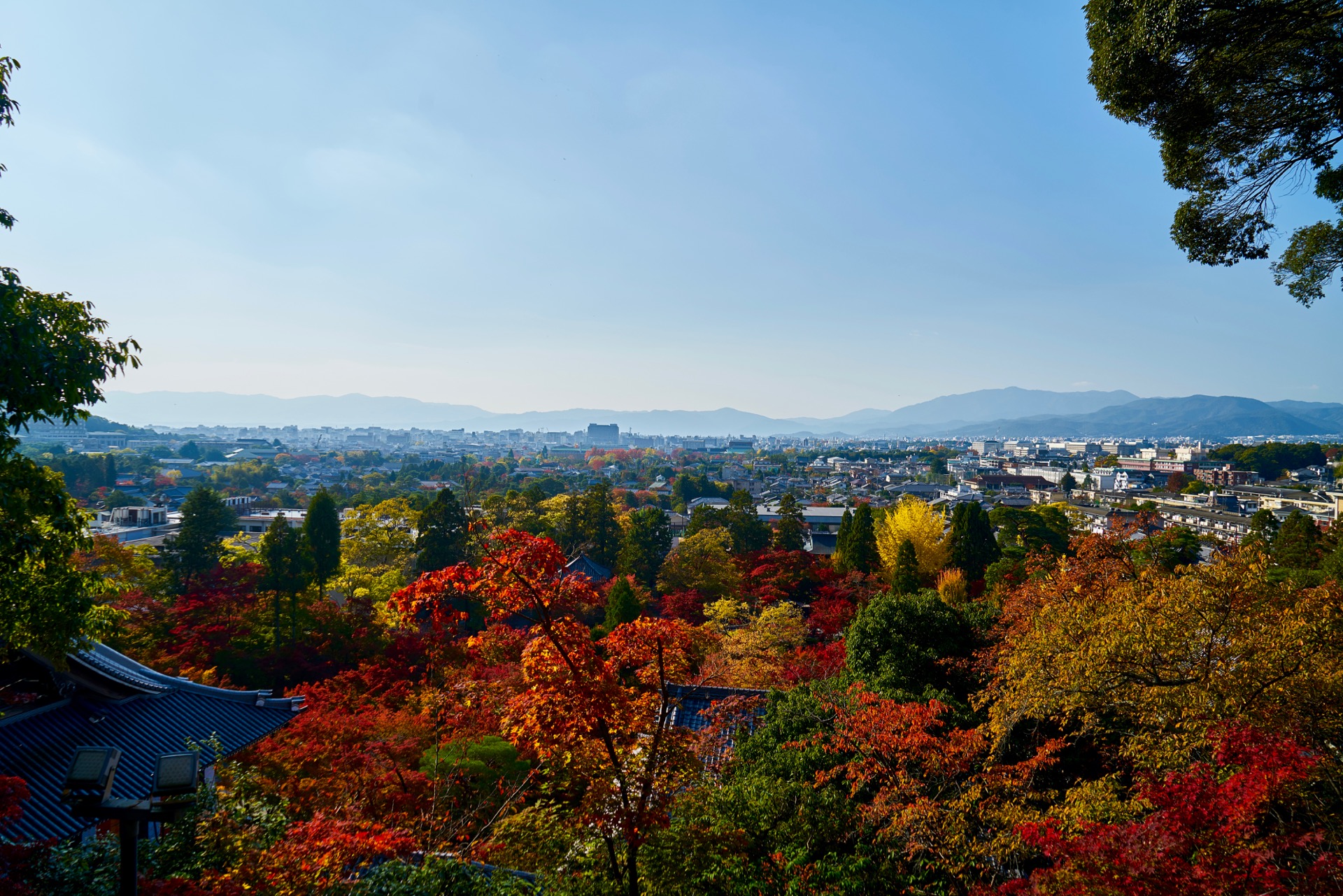 JAPAN-2016-02-100 JAPAN-2016-02-100
