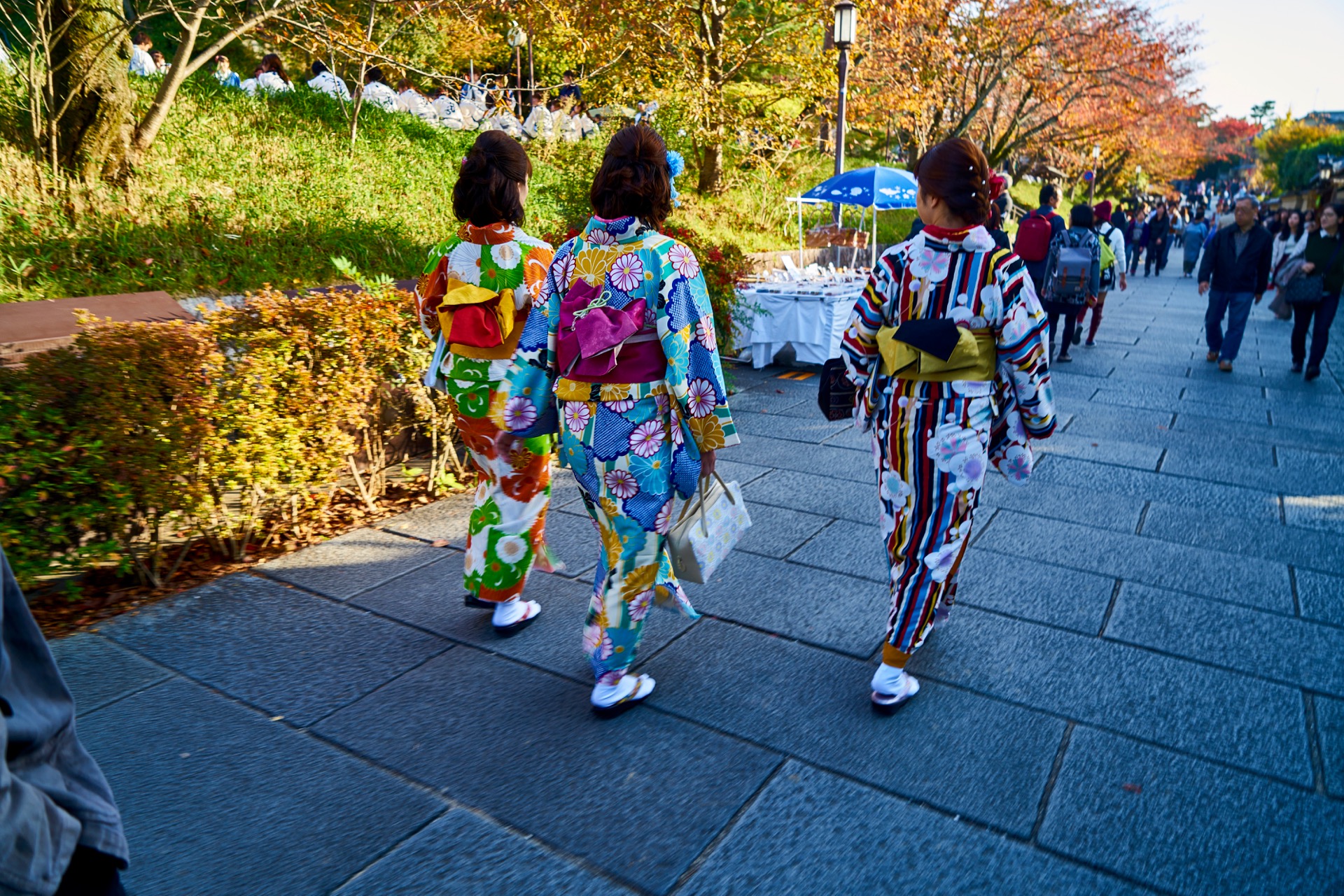 JAPAN-2016-02-104 JAPAN-2016-02-104