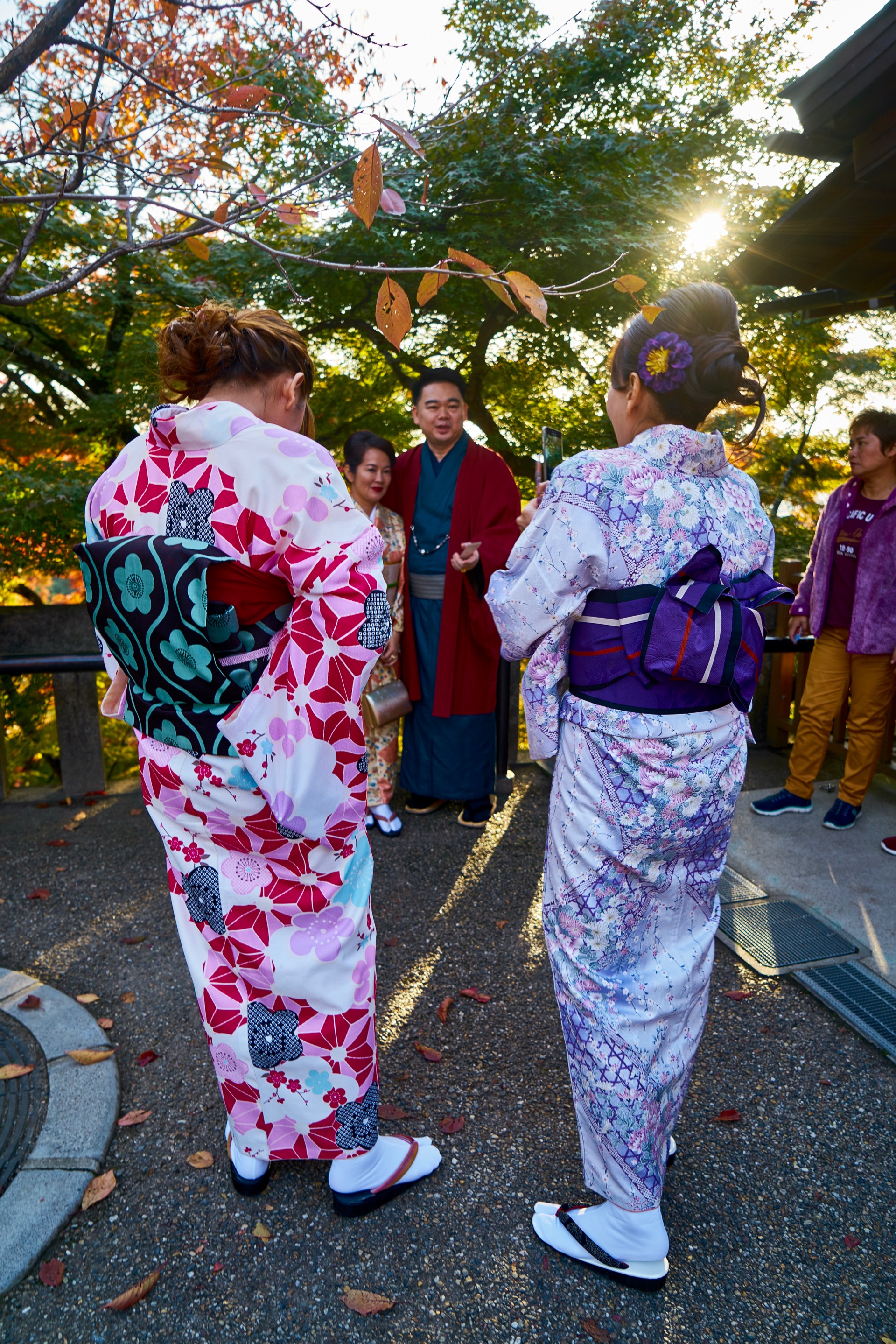 JAPAN-2016-02-119 JAPAN-2016-02-119