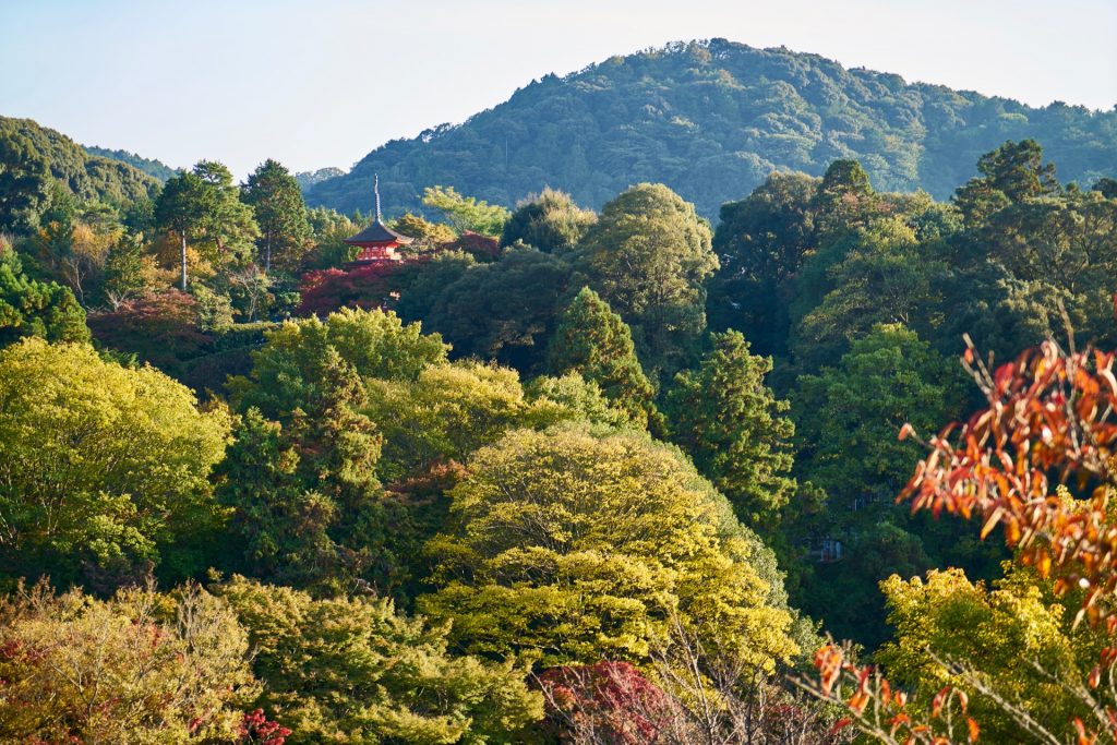 JAPAN-2016-02-123 JAPAN-2016-02-123