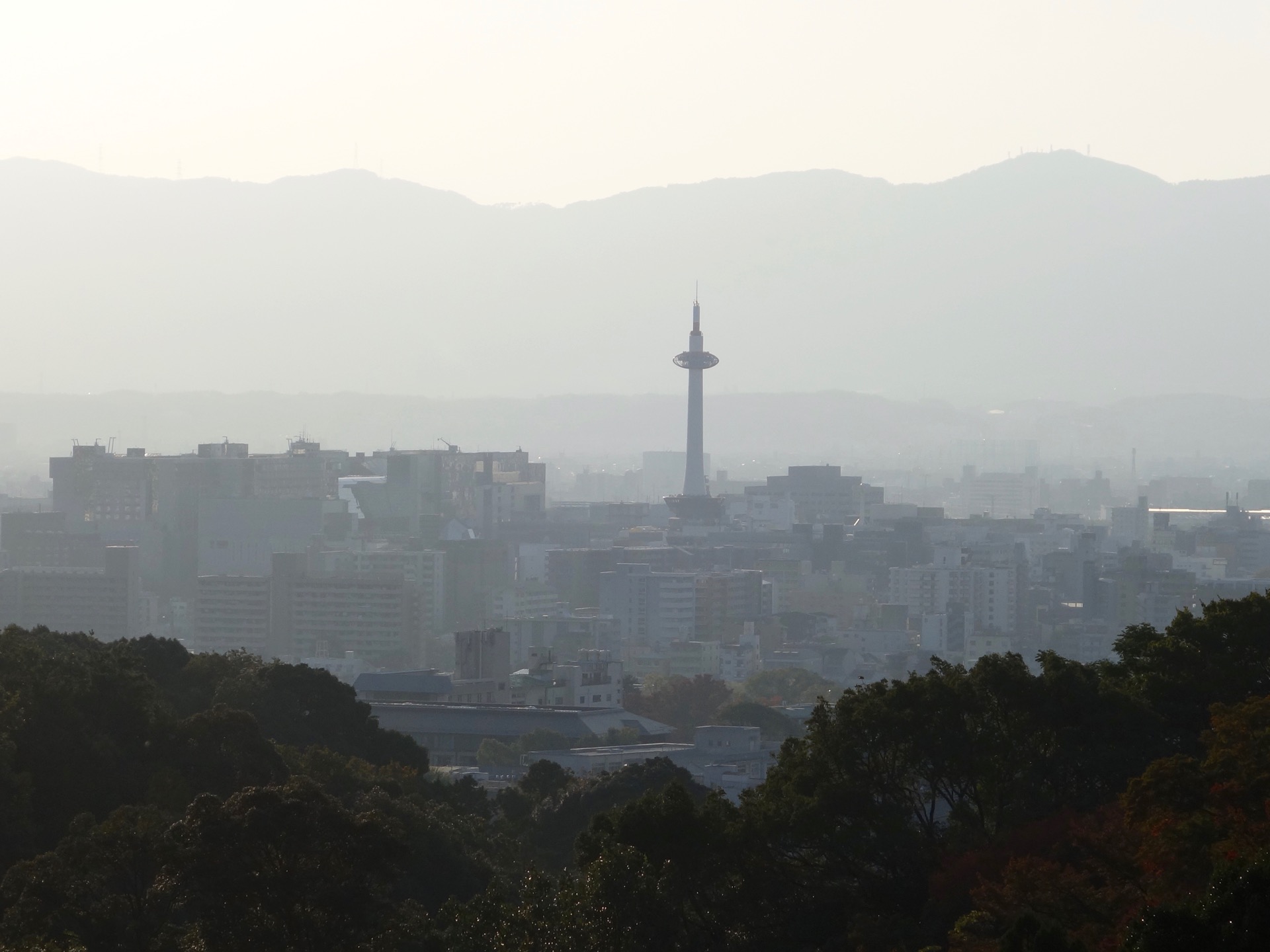 JAPAN-2016-02-124 JAPAN-2016-02-124