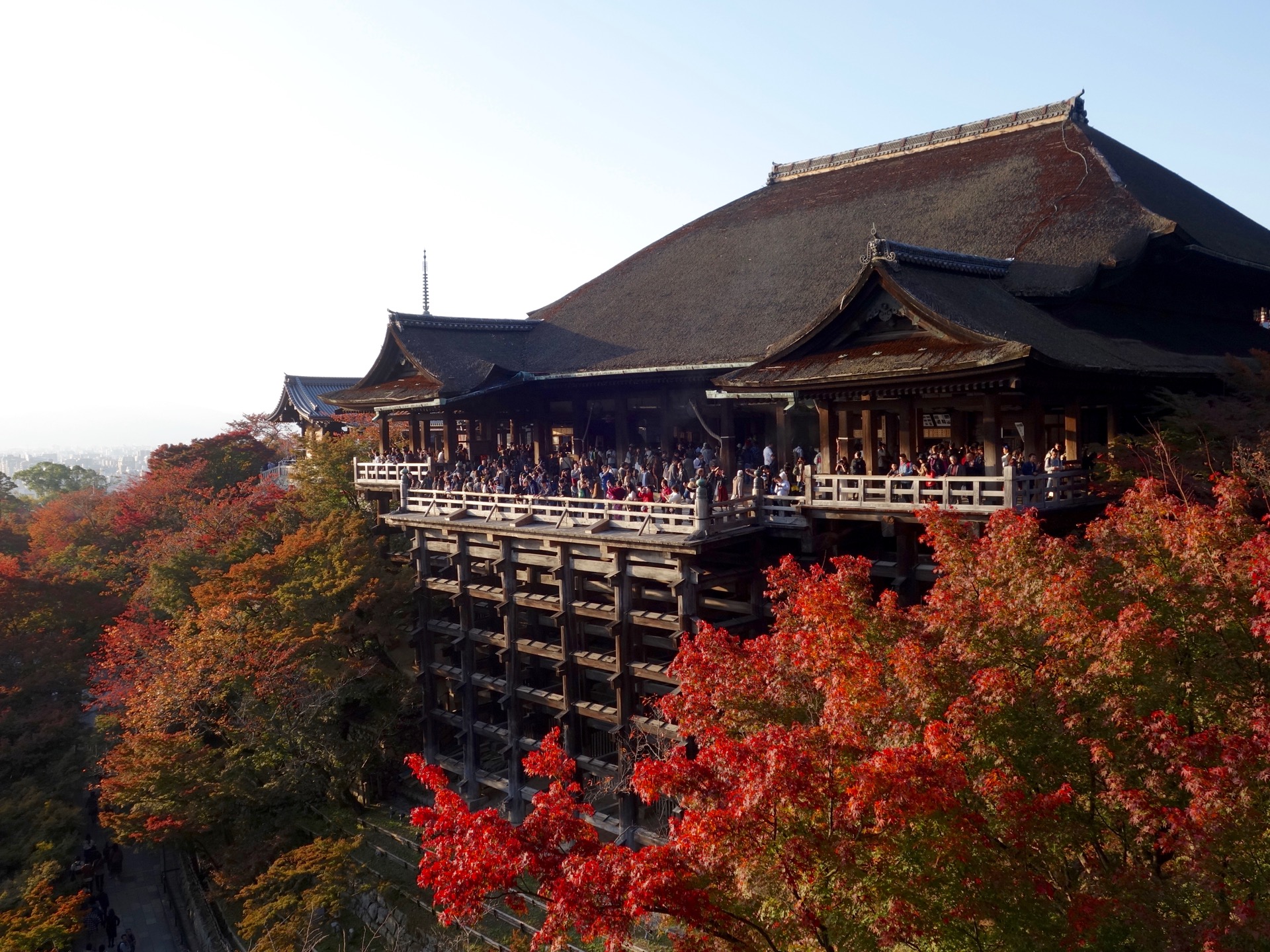 JAPAN-2016-02-125 JAPAN-2016-02-125