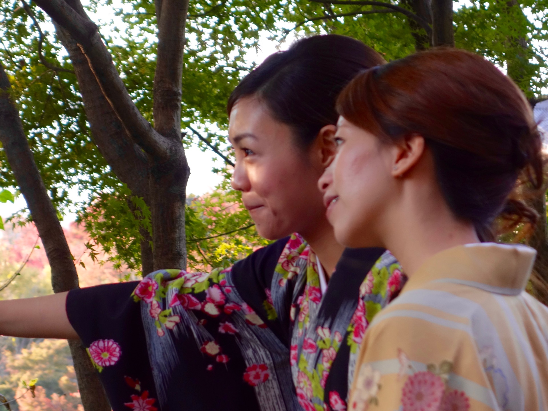 JAPAN-2016-02-128 JAPAN-2016-02-128