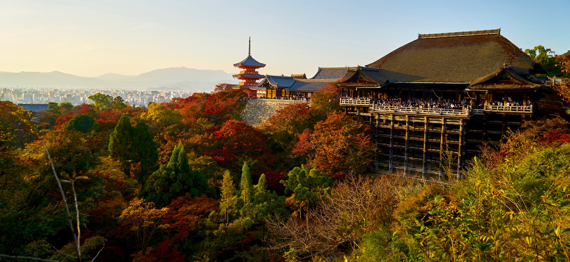 JAPAN-2016-02-129 JAPAN-2016-02-129