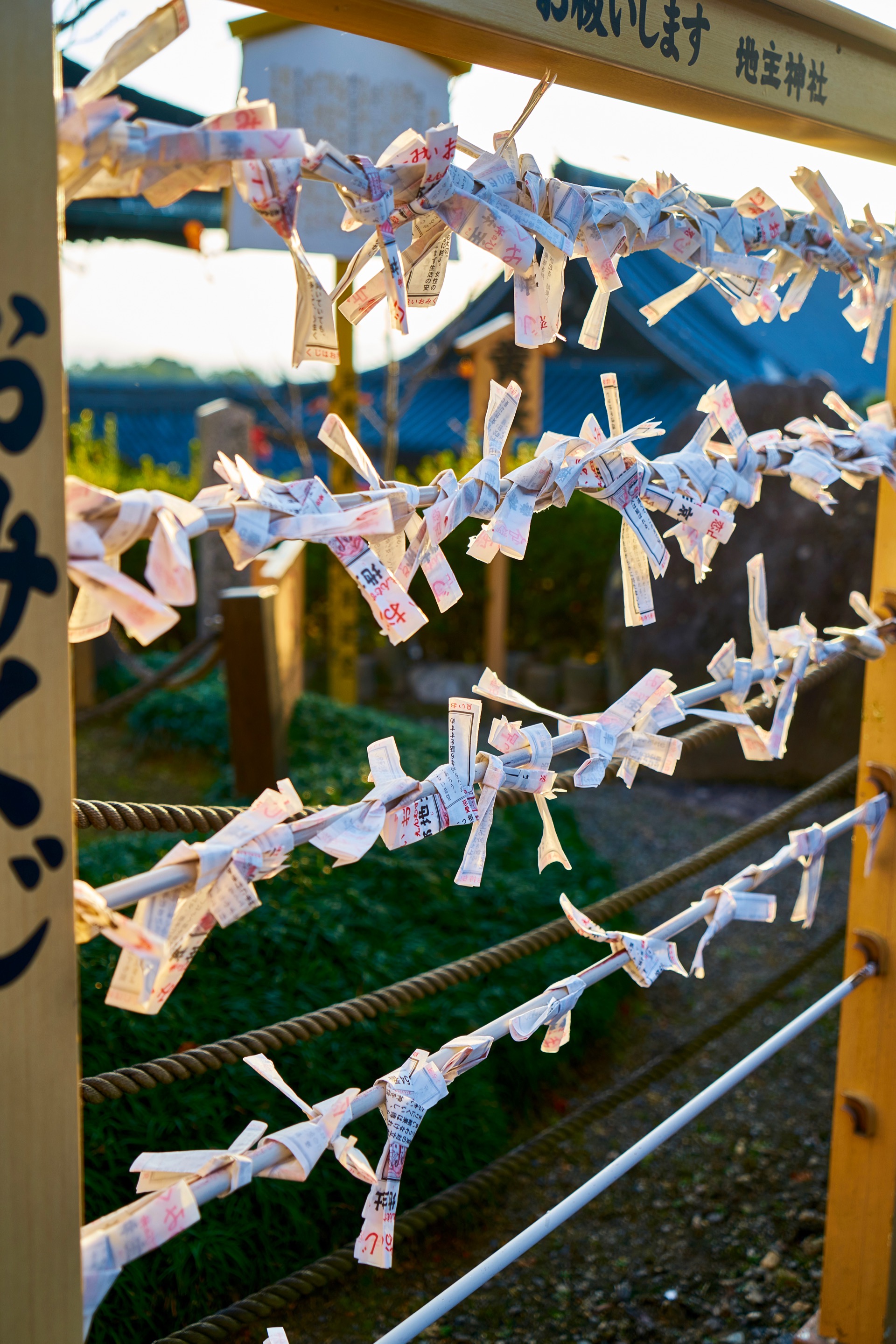 JAPAN-2016-02-135 JAPAN-2016-02-135