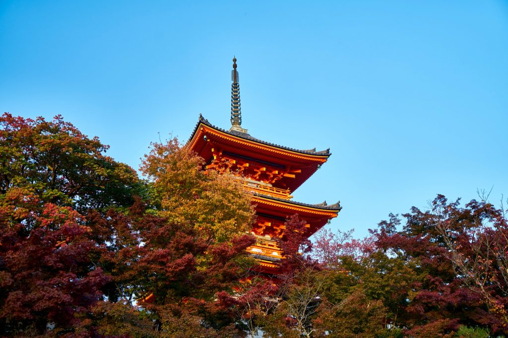 JAPAN-2016-02-150 JAPAN-2016-02-150