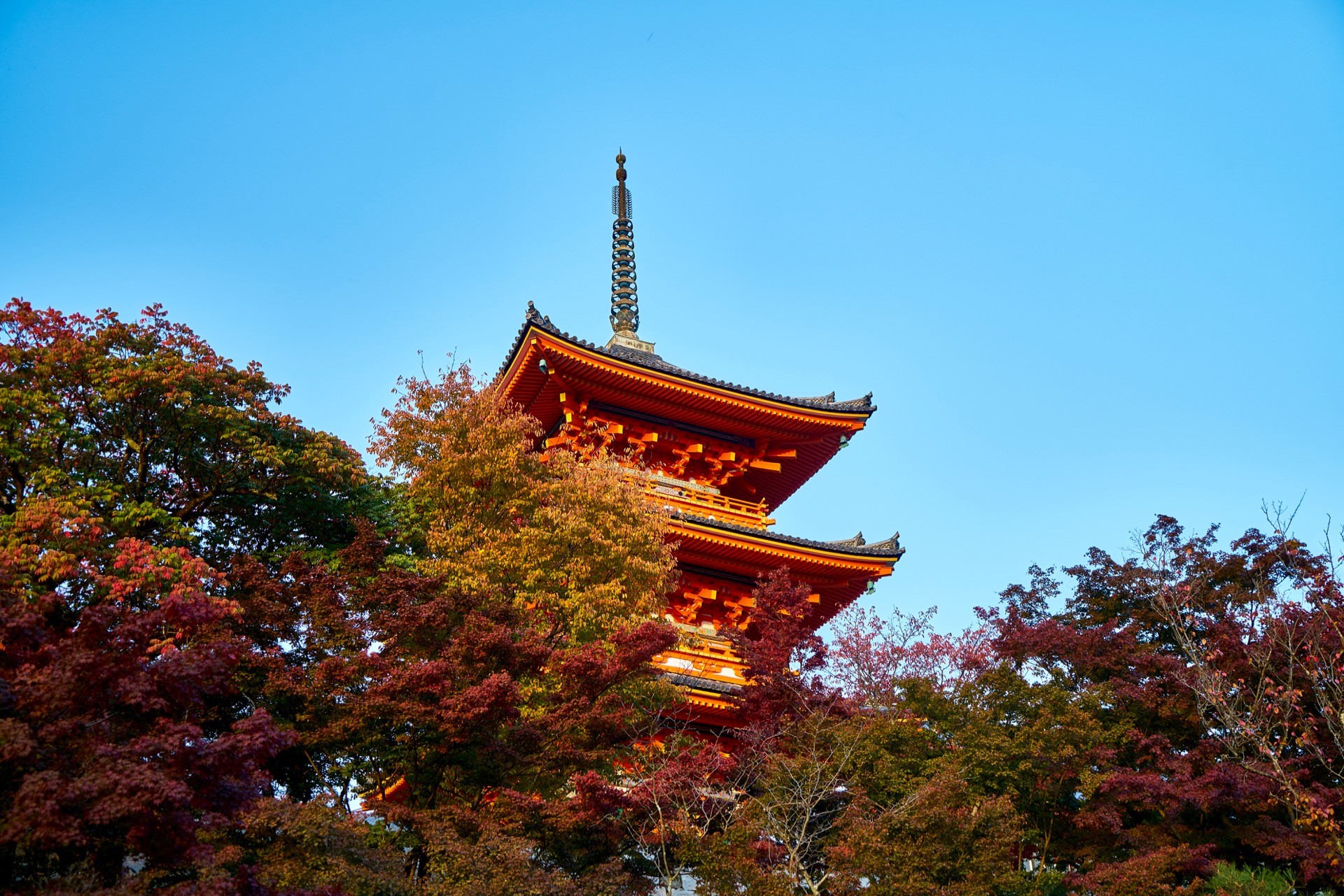 JAPAN-2016-02-150 JAPAN-2016-02-150