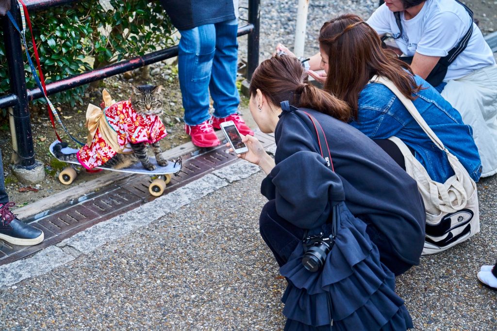 JAPAN-2016-02-154 JAPAN-2016-02-154