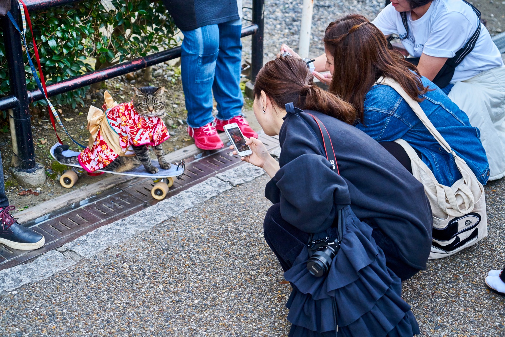 JAPAN-2016-02-154 JAPAN-2016-02-154
