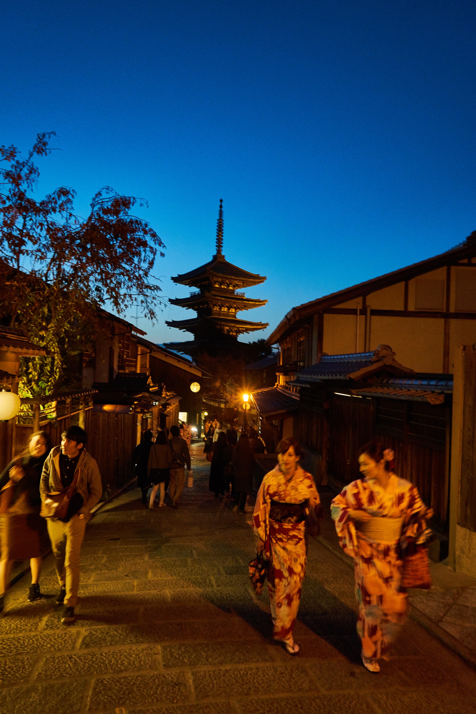 JAPAN-2016-02-157 JAPAN-2016-02-157