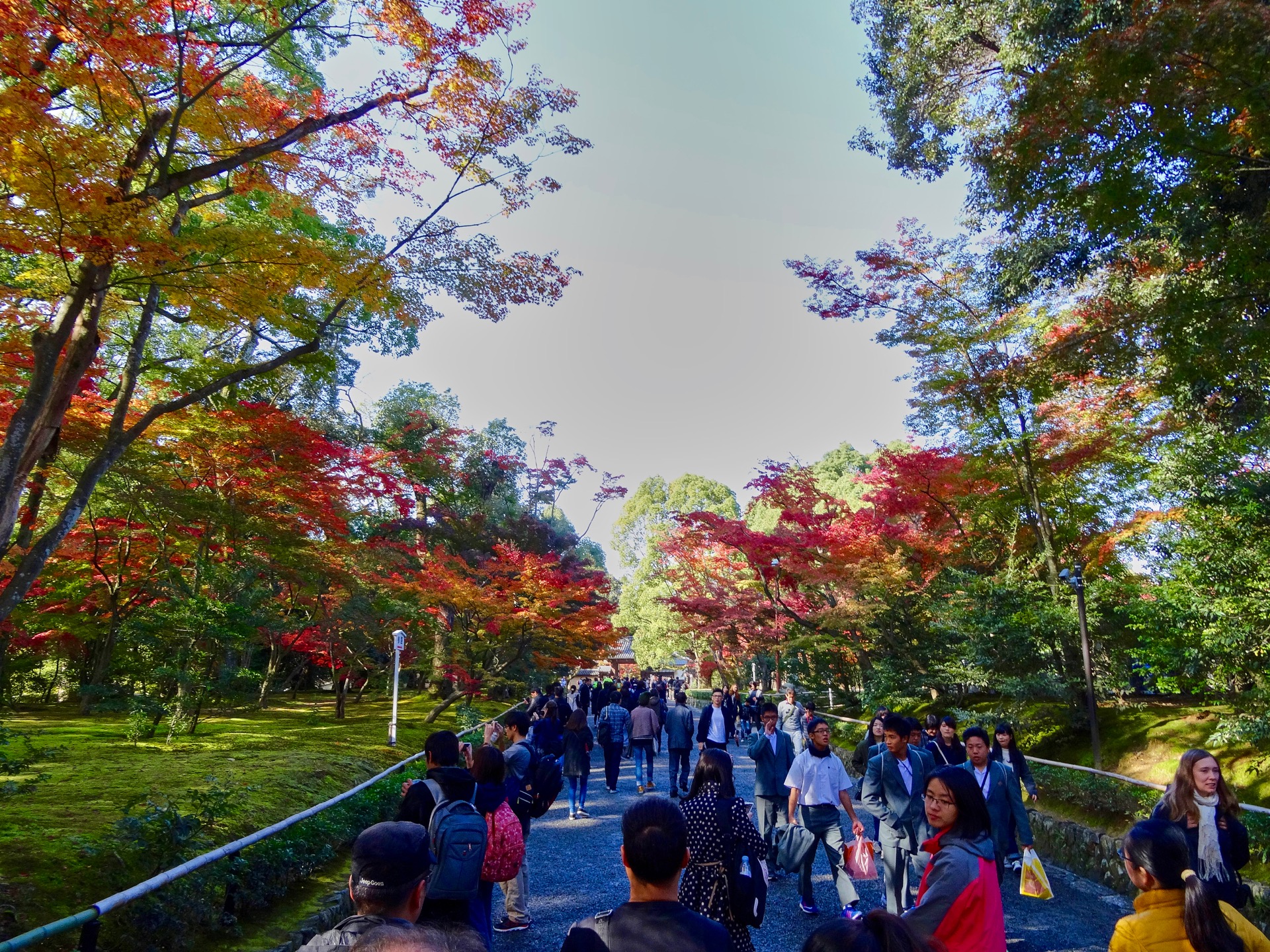 JAPAN-2016-03-001 JAPAN-2016-03-001