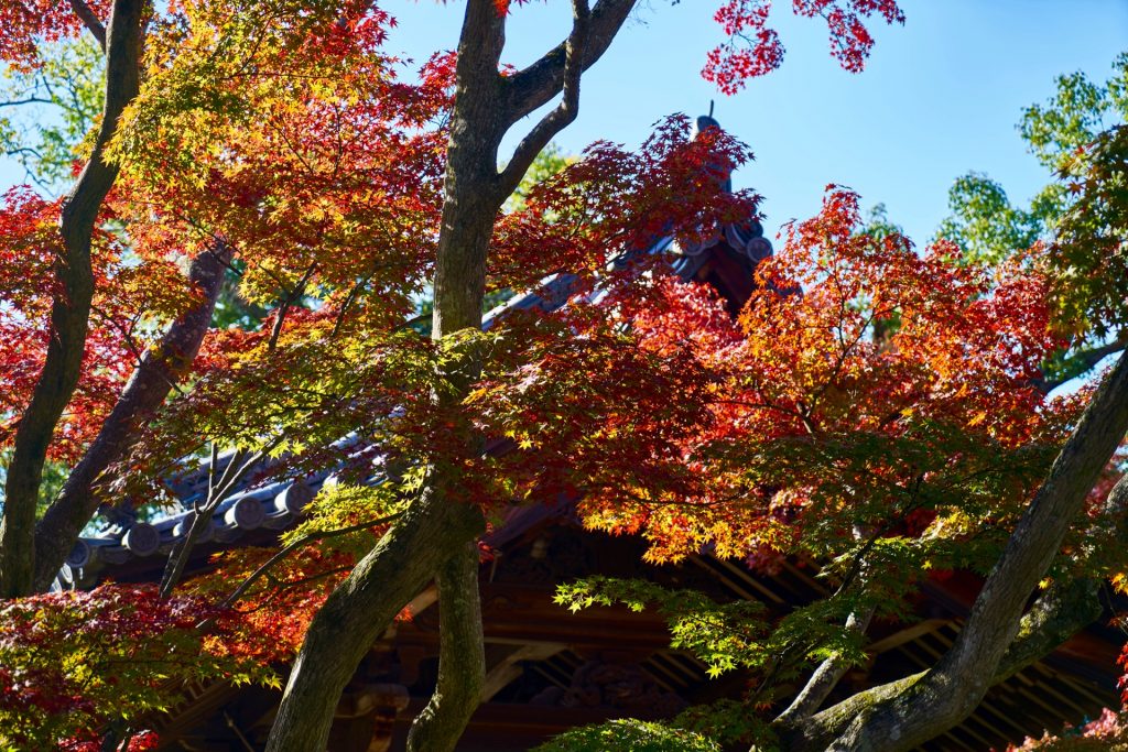 JAPAN-2016-03-003 JAPAN-2016-03-003