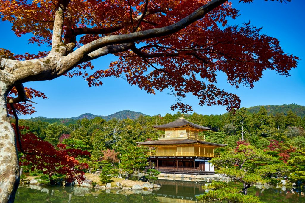 JAPAN-2016-03-011 JAPAN-2016-03-011