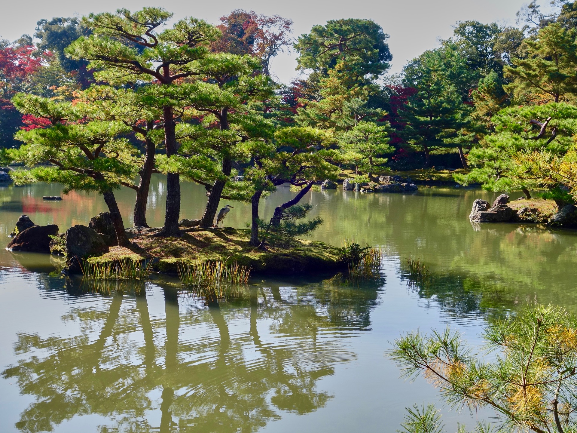 JAPAN-2016-03-017 JAPAN-2016-03-017