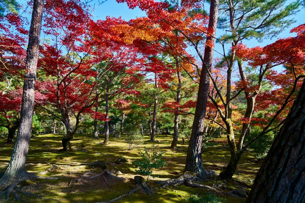 JAPAN-2016-03-021 JAPAN-2016-03-021