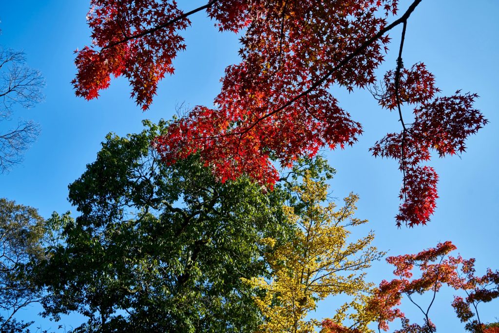 JAPAN-2016-03-027 JAPAN-2016-03-027