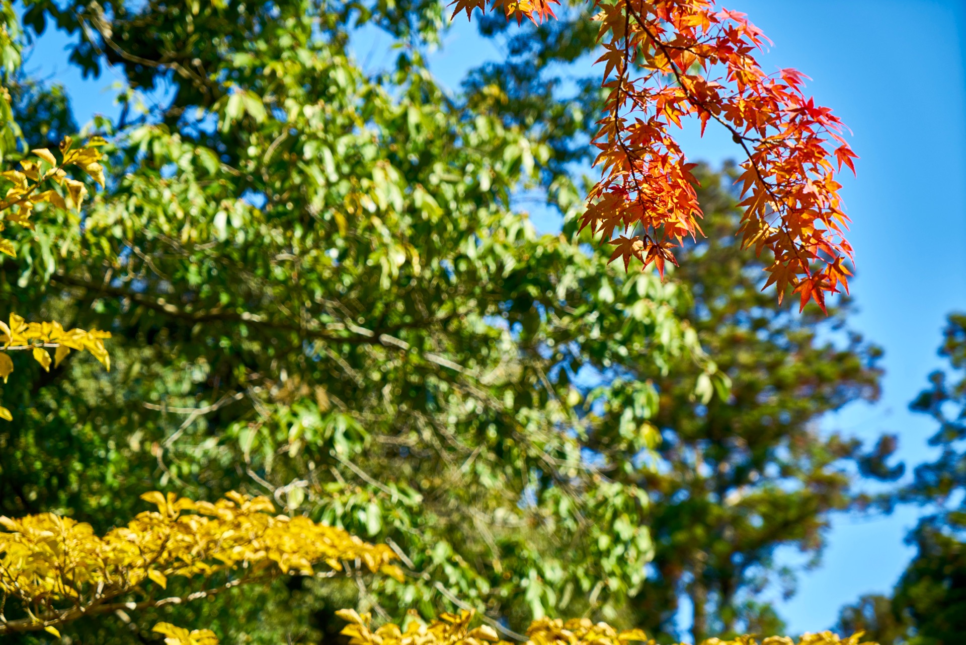 JAPAN-2016-03-028 JAPAN-2016-03-028