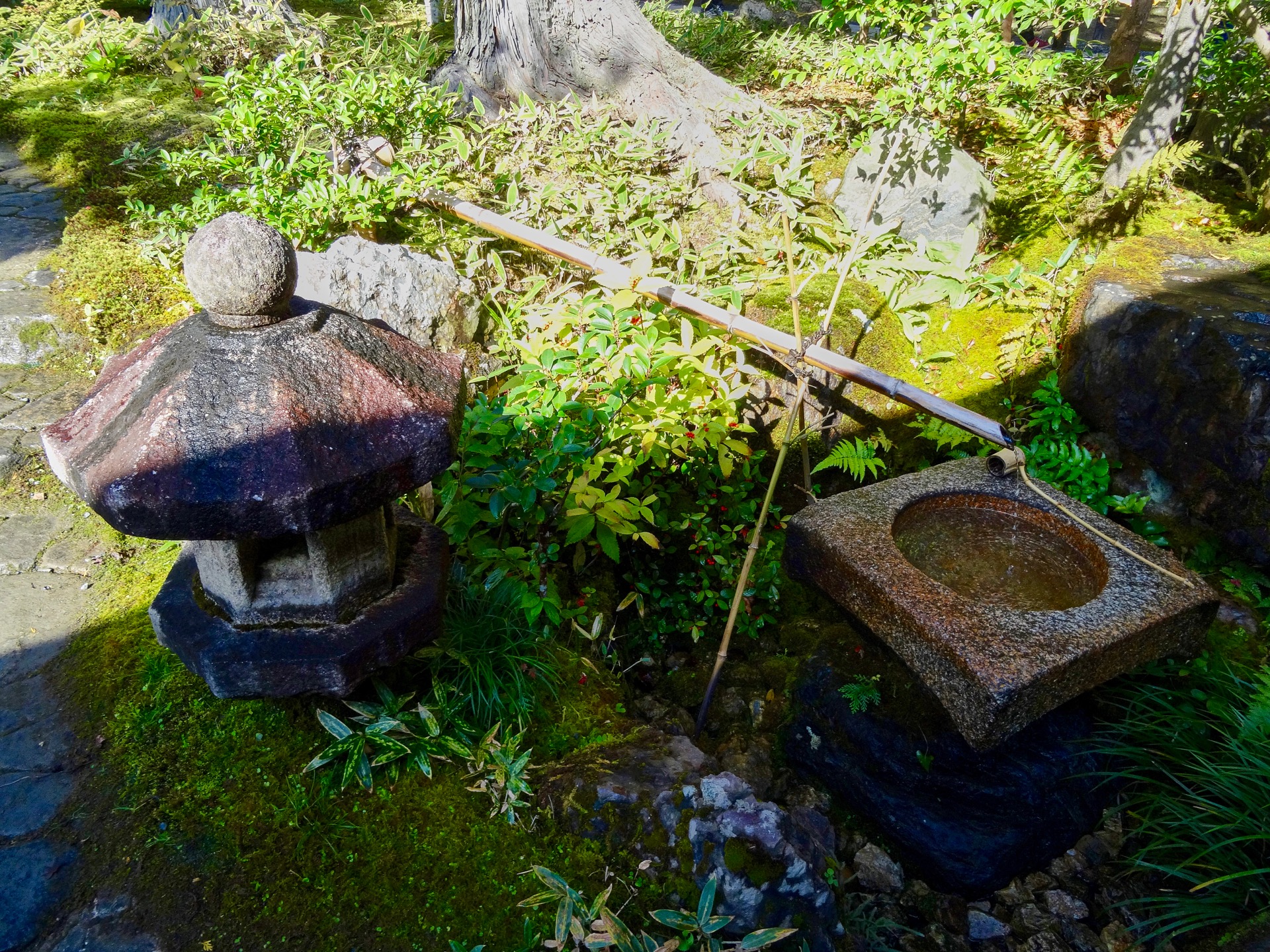 JAPAN-2016-03-030 JAPAN-2016-03-030