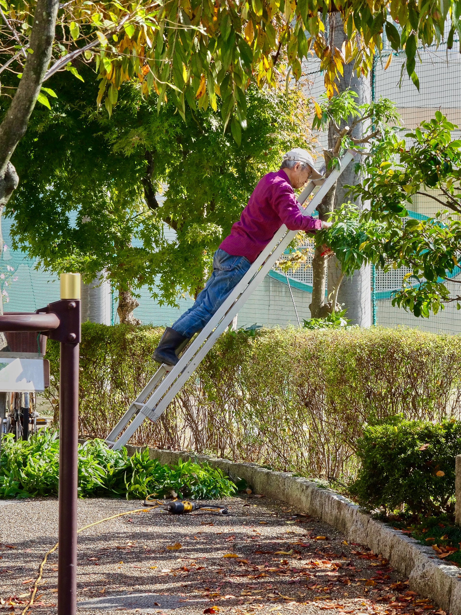 JAPAN-2016-03-048 JAPAN-2016-03-048