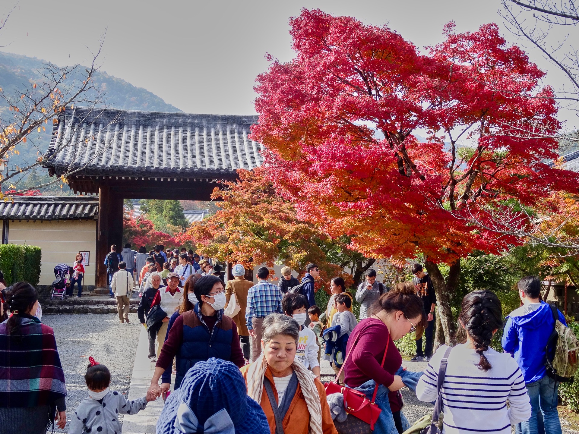 JAPAN-2016-03-056 JAPAN-2016-03-056