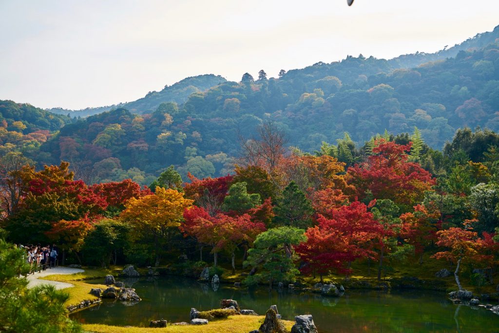 JAPAN-2016-03-072 JAPAN-2016-03-072