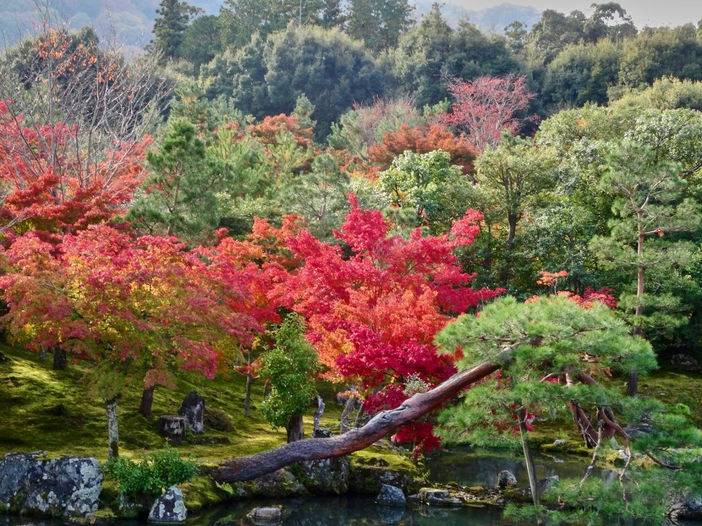 JAPAN-2016-03-073 JAPAN-2016-03-073