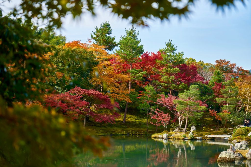 JAPAN-2016-03-077 JAPAN-2016-03-077