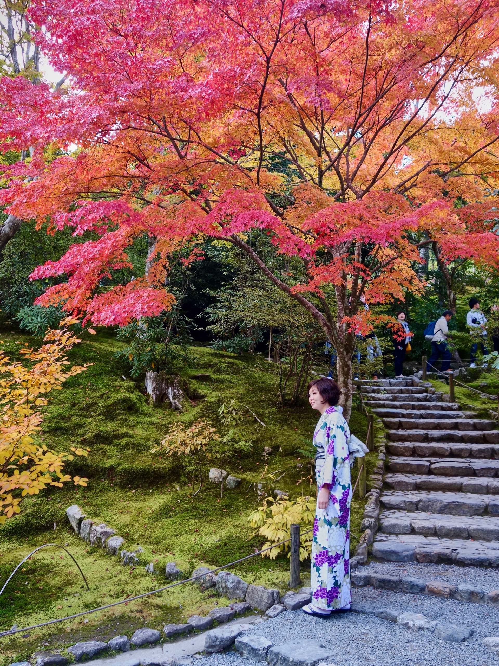 JAPAN-2016-03-081 JAPAN-2016-03-081