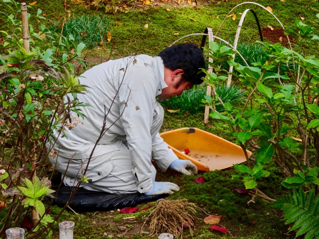 JAPAN-2016-03-086 JAPAN-2016-03-086